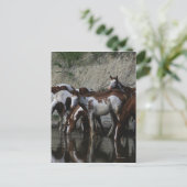 Carte Postale Peinture Chevaux Boire (Debout devant)