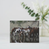Carte Postale Peinture Chevaux Boire (Debout devant)