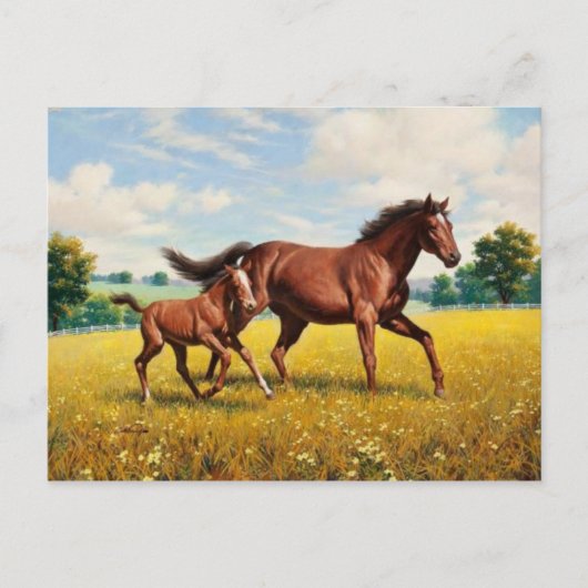 Carte postale Peinture classique (Devant)