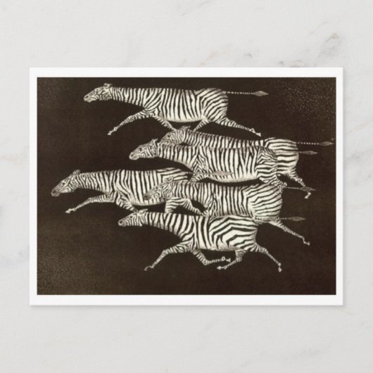 Carte postale Peinture classique (Devant)