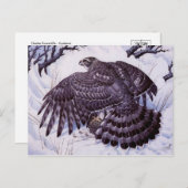 Carte postale Peinture classique (Devant / Derrière)