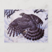 Carte postale Peinture classique (Devant)