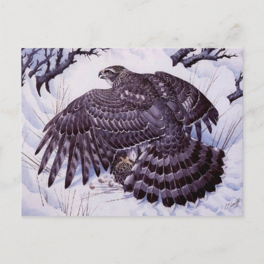 Carte postale Peinture classique (Devant)