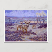 Carte postale Peinture classique (Devant)