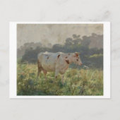 Carte postale Peinture classique (Devant)