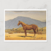 Carte postale Peinture classique (Devant)