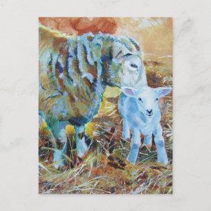 Carte Postale Peinture d'agneau et de mouton