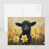 Carte Postale Peinture d'agneau noir et de jonquilles jaune (Devant / Derrière)