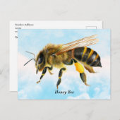Carte Postale Peinture d'aquarelle d'abeille de miel (Devant / Derrière)