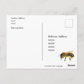 Carte Postale Peinture d'aquarelle d'abeille de miel (Dos)