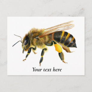 Carte Postale Peinture d'aquarelle d'abeille de miel