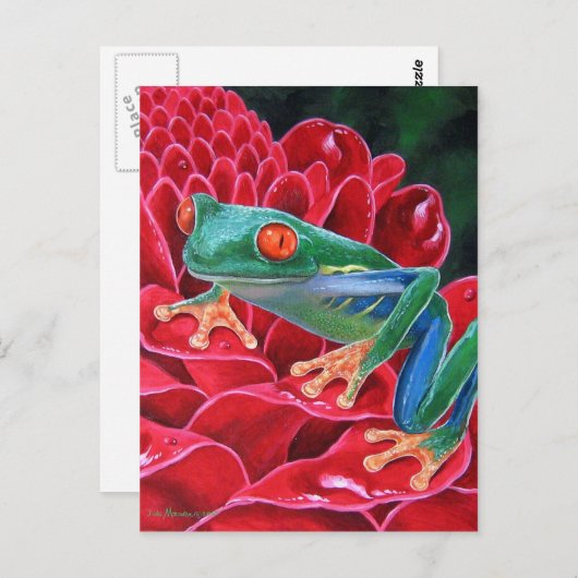 Carte Postale Peinture d'art animal de grenouille verte - Multi (Devant / Derrière)