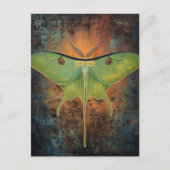 Carte Postale Peinture de belle lune papillon (Devant)