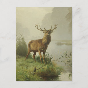 Carte Postale Peinture de cerf rouge