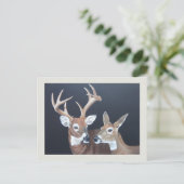 Carte Postale Peinture de cerfs blancs Buck et Doe (Debout devant)