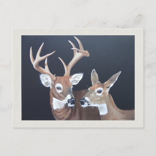 Carte Postale Peinture de cerfs blancs Buck et Doe (Devant)
