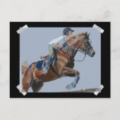 Carte Postale Peinture de chasseur/pare-chocs unique (Devant)