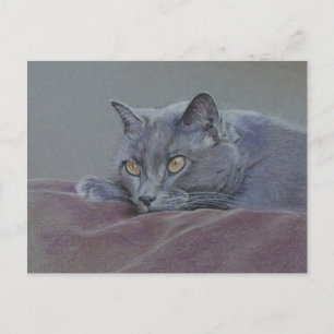 Carte Postale peinture de chat bleu britannique