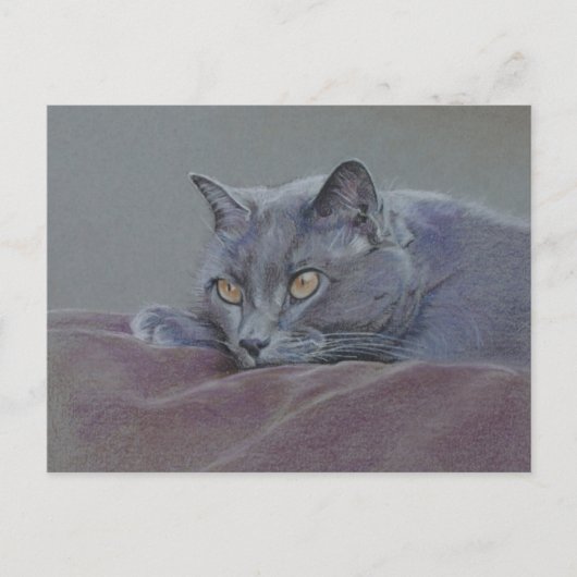 Carte Postale peinture de chat bleu britannique (Devant)