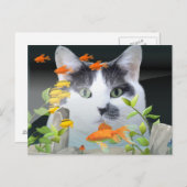 Carte Postale Peinture de chat dans un réservoir de poisson (Devant / Derrière)