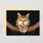 Carte Postale Peinture de chat Mad - Cute Original Cat Art (Devant / Derrière)