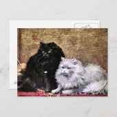 Carte Postale Peinture de chats perses (Devant / Derrière)