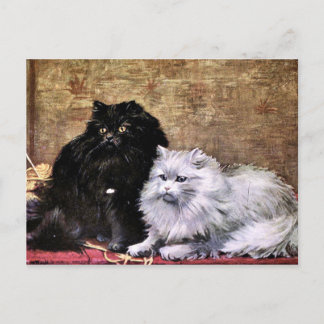 Carte Postale Peinture de chats perses