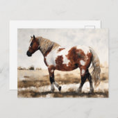 Carte Postale Peinture de cheval Mustang Pinto (Devant / Derrière)