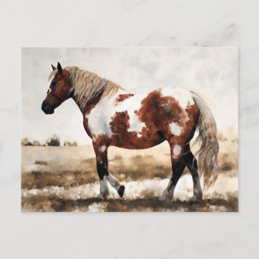 Carte Postale Peinture de cheval Mustang Pinto (Devant)