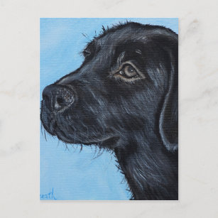 Carte Postale Peinture de chiot du Labrador noir