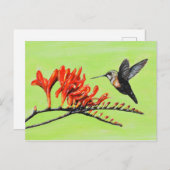 Carte Postale Peinture de colibri et de crocosmia (Devant / Derrière)