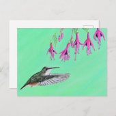 Carte Postale Peinture de colibri et Fuchsia (Devant / Derrière)