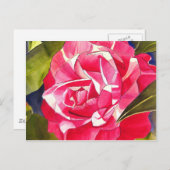 Carte Postale Peinture de fleurs rose Camellia (Devant / Derrière)