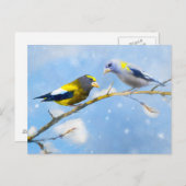 Carte Postale Peinture de Grosbec errant - Art de chien original (Devant / Derrière)