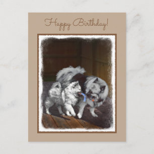 Carte Postale Peinture de jeu de Keeshond - Art de chien origina