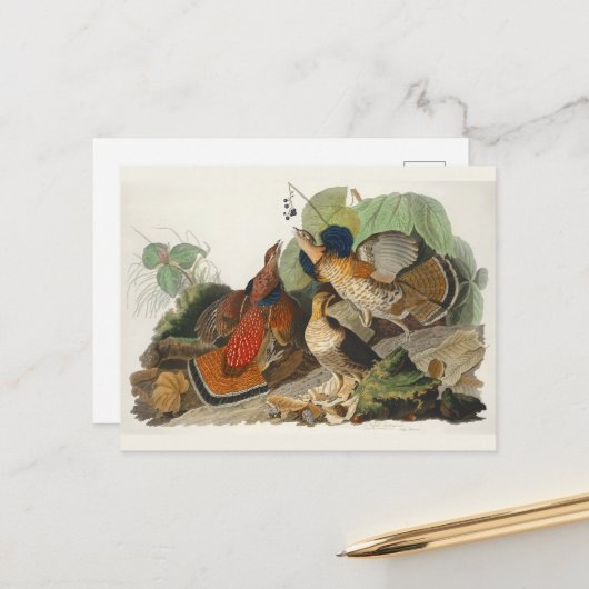 Carte Postale Peinture de la faune Audubon du Groupement rouillé (Devant/Arrière en situation)