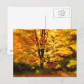 Carte Postale Peinture de l'arbre d'automne (Devant / Derrière)