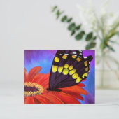 Carte Postale Peinture de marguerite à papillon noir - Multi (Debout devant)
