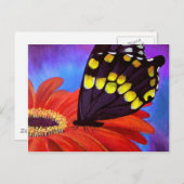 Carte Postale Peinture de marguerite à papillon noir - Multi (Devant / Derrière)