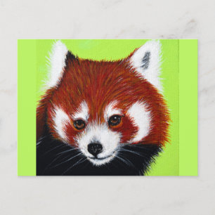 Carte Postale Peinture de panda rouge