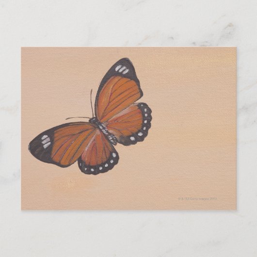 Carte Postale Peinture de papillon (Devant)