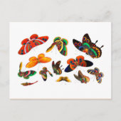 Carte Postale Peinture de papillon et d'insectes chinois - dynas (Devant)