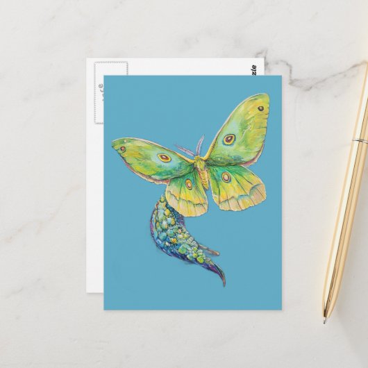 Carte Postale Peinture de papillon lunaire (Devant/Arrière en situation)