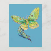 Carte Postale Peinture de papillon lunaire (Devant)