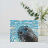 Carte Postale Peinture de phoque en pop-up (Debout devant)