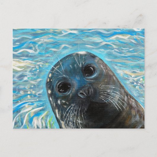 Carte Postale Peinture de phoque en pop-up (Devant)