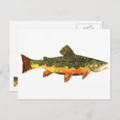 Carte Postale Peinture de poissons de truite broyée (Devant / Derrière)