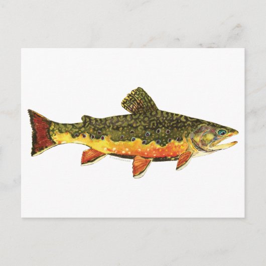 Carte Postale Peinture de poissons de truite broyée (Devant)