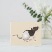 Carte Postale Peinture de rat pour animaux (Debout devant)