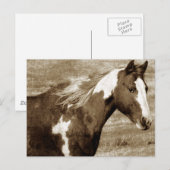 Carte Postale Peinture de style antique (Devant / Derrière)